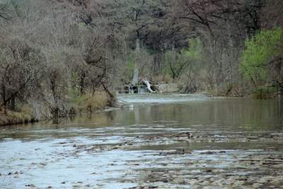 Texas=Bandera creek side.JPG